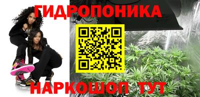 ГАЛЛЮЦИНОГЕННЫЕ ГРИБЫ Ставрополь